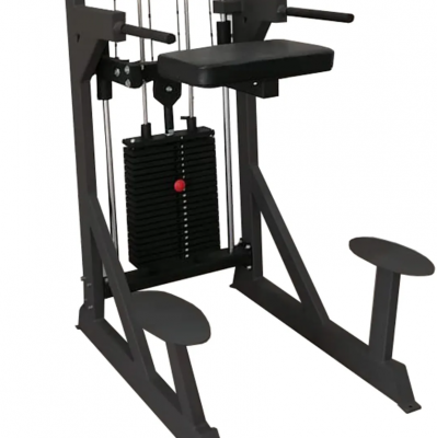 Гравитрон профессиональный Bronze Gym PARTNER ML-701