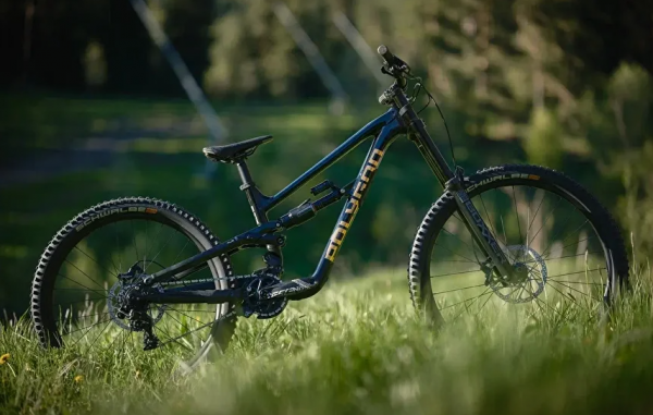 Велосипед Polygon COLLOSUS DH-M 29" (2025)