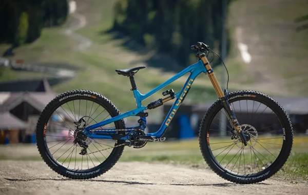 Велосипед Polygon COLLOSUS DH-R 29" (2025)