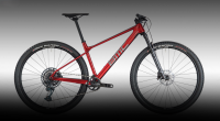 Велосипед BMC Twostroke 01 LE Team Deore Red/Gray XM45 (2024)