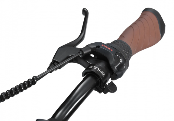 Электровелосипед SHULZ E-Easy Fat