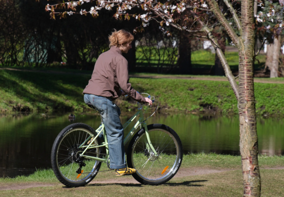 Велосипед SHULZ Flower Bud Fairy