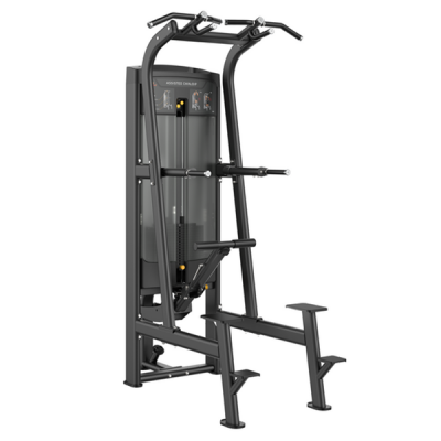 Подтягивание/Отжимание с помощью Smith Fitness RE8008