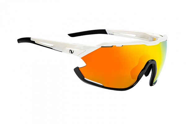 Очки мультиспортивные Northug Gold Performance 2.0 / Standard White Black Amber
