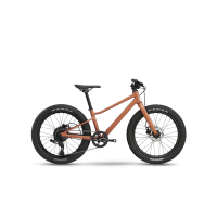 Велосипед BMC Blast 20 SRAM X4 1x8 (2021)