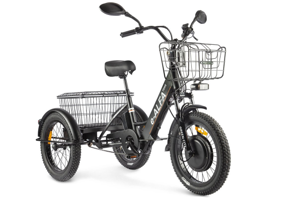 Электровелосипед GREEN CITY e-ALFA Trike (2024)
