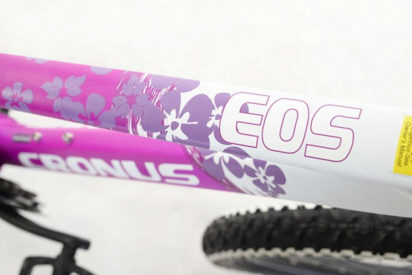 Велосипед Cronus 2013 EOS 0.5