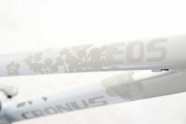 Велосипед Cronus EOS 3.0 (2013)
