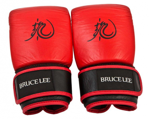 Тренировочные перчатки Bruce Lee Dragon Deluxe