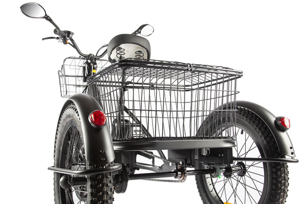 Электровелосипед GREEN CITY e-ALFA Trike (2024)