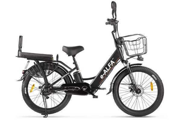 Электровелосипед GREEN CITY e-ALFA Fat (2024)