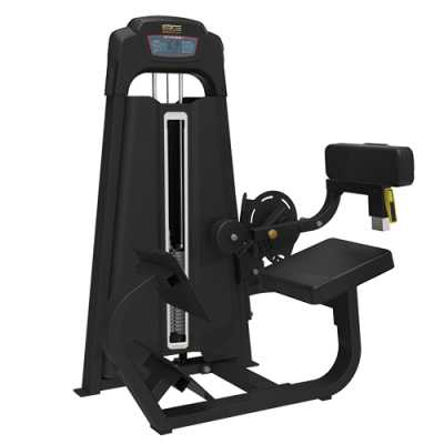 Разгибание спины Bronze Gym LD-9031