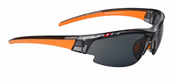 Очки SWISSEYE Gardosa Evolution спортивные с футляром