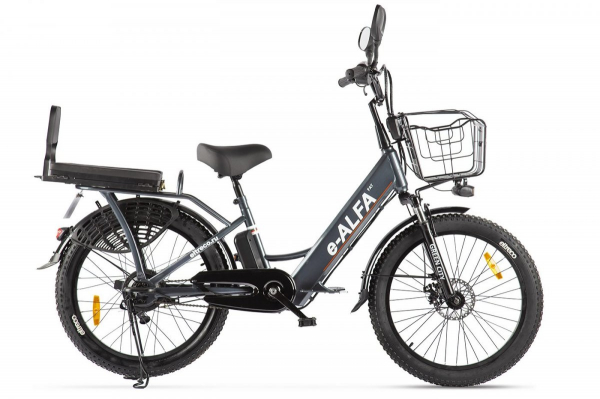 Электровелосипед GREEN CITY e-ALFA Fat (2024)