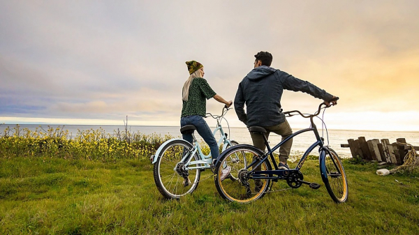 Велосипед Electra Townie 7D EQ Step Over 26 (2022)