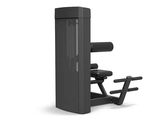 Разгибание спины Spirit Fitness SP-4310