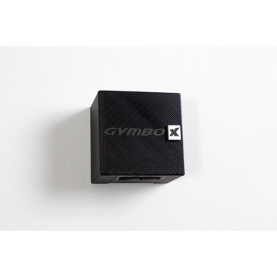 Функциональные петли Variosling Variosling Gymbox
