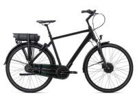 Велосипед Giant EASE-E+ 1 GTS WOB (2021)