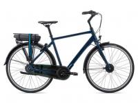 Велосипед Giant EASE-E+ 2 GTS WOB (2021)