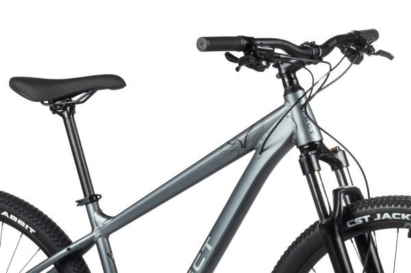Велосипед Aspect LEGEND 29 (2024)