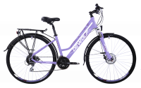 Велосипед DEWOLF Asphalt F3 (2017)