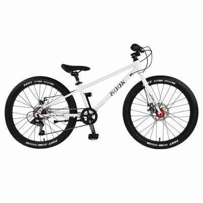 Велосипед MOON JOKER 24'' disk MD 7 spd (2023)