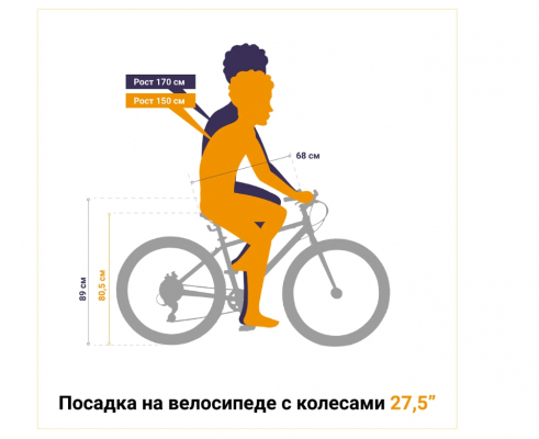 Велосипед SHULZ Chloe 27,5 Race (2023)