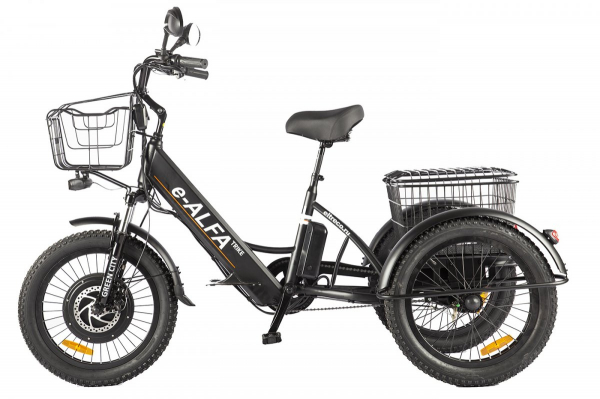 Электровелосипед GREEN CITY e-ALFA Trike (2024)