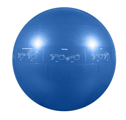 Мяч гимнастический GoFit профессиональный, 55 см