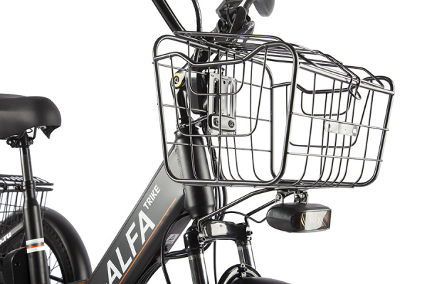 Электровелосипед GREEN CITY e-ALFA Trike (2024)