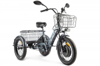 Электровелосипед GREEN CITY e-ALFA Trike (2024)