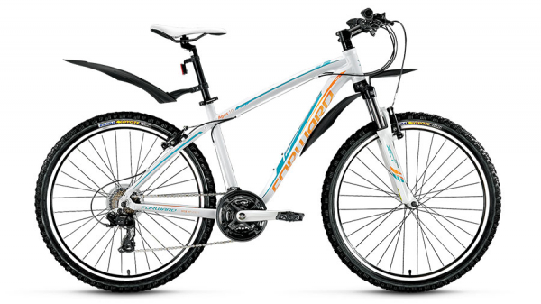 Велосипед Forward Agris Lady 1.0 (2016)
