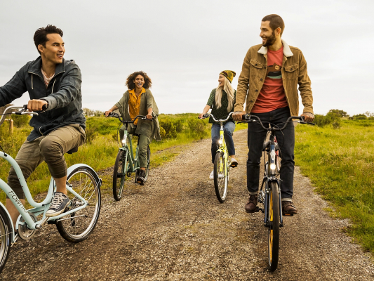 Велосипед Electra Townie 7D EQ Step Over 26 (2022)