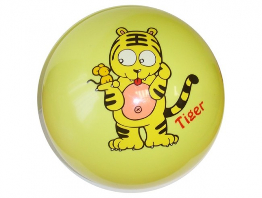 Мяч с рисунком TB05 (20см, цвета в ассортименте)