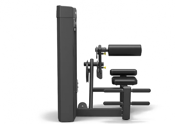 Разгибание спины Spirit Fitness SP-4310