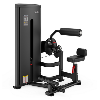 Пресс/Разгибание спины Smith Fitness DA009