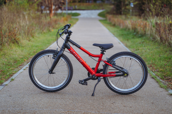 Велосипед Alpine Bike Pegas 3-20 (2025)
