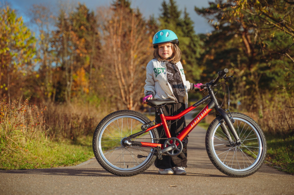 Велосипед Alpine Bike Pegas 3-20 (2025)