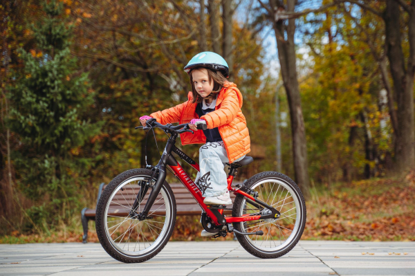 Велосипед Alpine Bike Pegas 3-20 (2025)