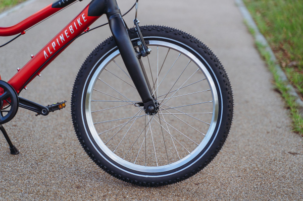 Велосипед Alpine Bike Pegas 3-20 (2025)