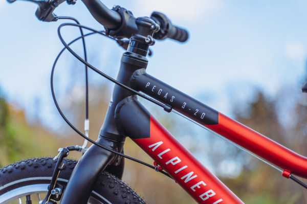 Велосипед Alpine Bike Pegas 3-20 (2025)