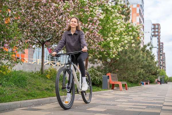 Велосипед Alpine Bike Terra 9 (2025)