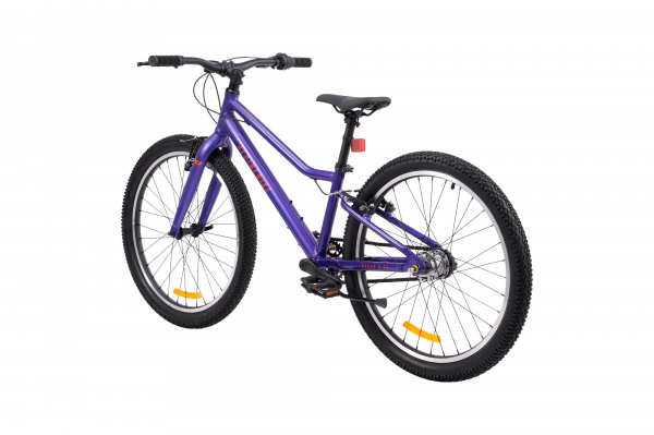 Велосипед Alpinebike Pegas 3-24 (2026)