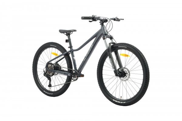Велосипед Alpinebike Pegas 8-27 (2026)