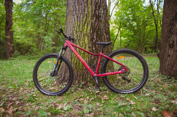 Велосипед Alpinebike Terra 8W (2026)