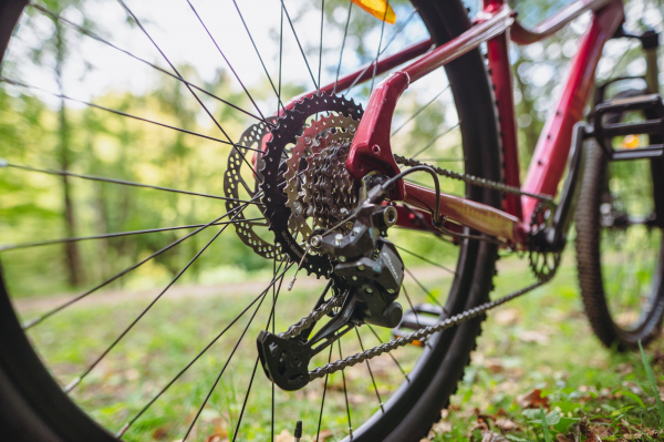 Велосипед Alpinebike Terra 8W (2026)