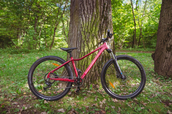 Велосипед Alpinebike Terra 8W (2026)