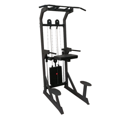 Гравитрон Bronze Gym BG-AL-703