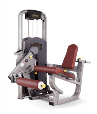 Разгибание ног сидя Bronze Gym BRONZE GYM MV-014