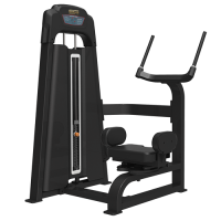 Торс-машина Bronze Gym LD-9018